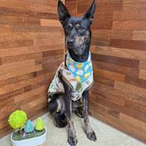 Thumbnail photo of Jena #2