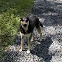 Thumbnail photo of Sylvia #1