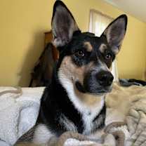 Thumbnail photo of Sylvia #3