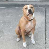 Thumbnail photo of Tucker #1