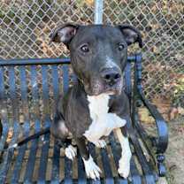 Thumbnail photo of Blythe 3113 #1