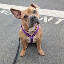 Thumbnail photo of Bliss #1