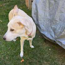 Thumbnail photo of Benjamin #1