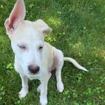 Thumbnail photo of Benjamin #2