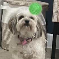 Thumbnail photo of Chloe #1