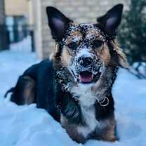 Thumbnail photo of Molly #2