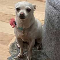 Thumbnail photo of Alaska #1