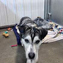 Thumbnail photo of Cooper #3