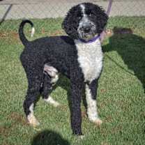 Thumbnail photo of Haven #2