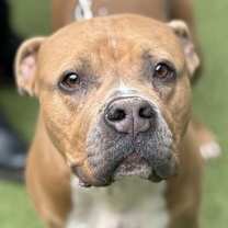 Thumbnail photo of Fendi #2