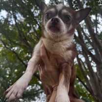 Thumbnail photo of Clark Griswold #2