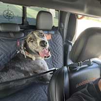 Thumbnail photo of Burrow #2