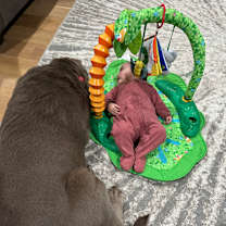 Thumbnail photo of Amazon #4