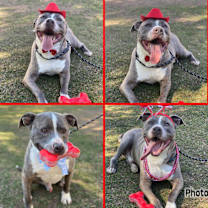 Thumbnail photo of JEWELZ #2