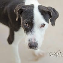 Thumbnail photo of Heath #3