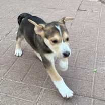 Thumbnail photo of Sean #2