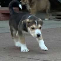 Thumbnail photo of Sean #3