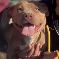 Thumbnail photo of OLIVER #1