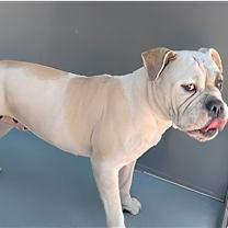 Thumbnail photo of TATIANA #1