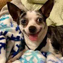 Thumbnail photo of Ruby Sue #1