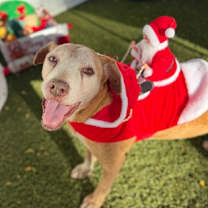 Thumbnail photo of Benedict #1