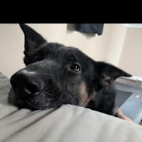 Thumbnail photo of Roman #1