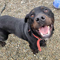 Thumbnail photo of Detective #3