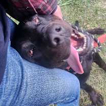 Thumbnail photo of Detective #4