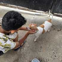 Thumbnail photo of Stuart #4