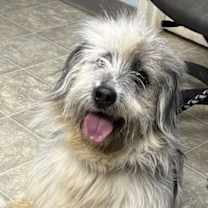 Thumbnail photo of Chris: At the shelter #1