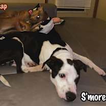 Thumbnail photo of S'more #2