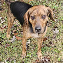 Thumbnail photo of RAYMOND #4