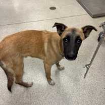 Thumbnail photo of CRUZ #3