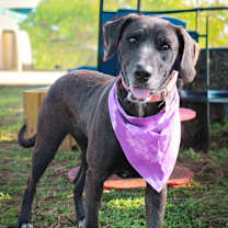 Thumbnail photo of Millicent #1