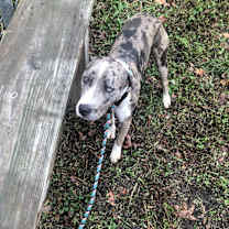 Thumbnail photo of Celeste #2