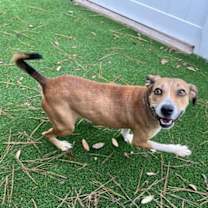 Thumbnail photo of Ruby #4