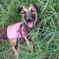 Thumbnail photo of Matilda (CP) #3