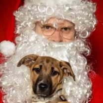 Thumbnail photo of Kurage #1