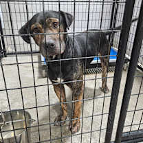 Thumbnail photo of Sebastian #2