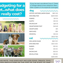 Thumbnail photo of Sebastian #4