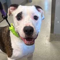 Thumbnail photo of Leonard #2