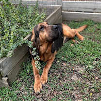 Thumbnail photo of Remi #2