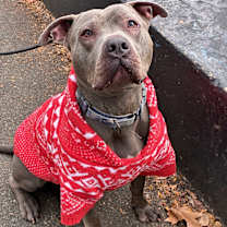 Thumbnail photo of Kai #1