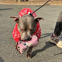 Thumbnail photo of Kai #2