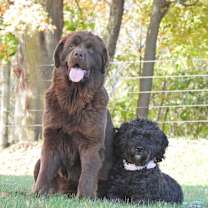 Thumbnail photo of Mia #3