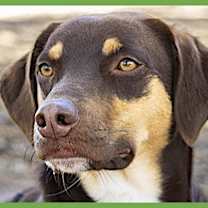 Thumbnail photo of Belle #1