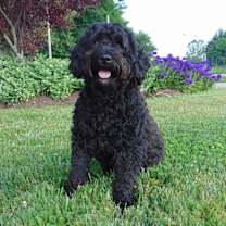 Thumbnail photo of Mia #4