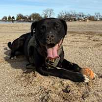 Thumbnail photo of Walker #1