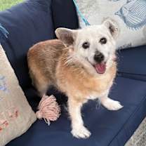 Thumbnail photo of Frisco #2