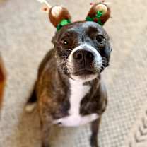 Thumbnail photo of Lizzy #1